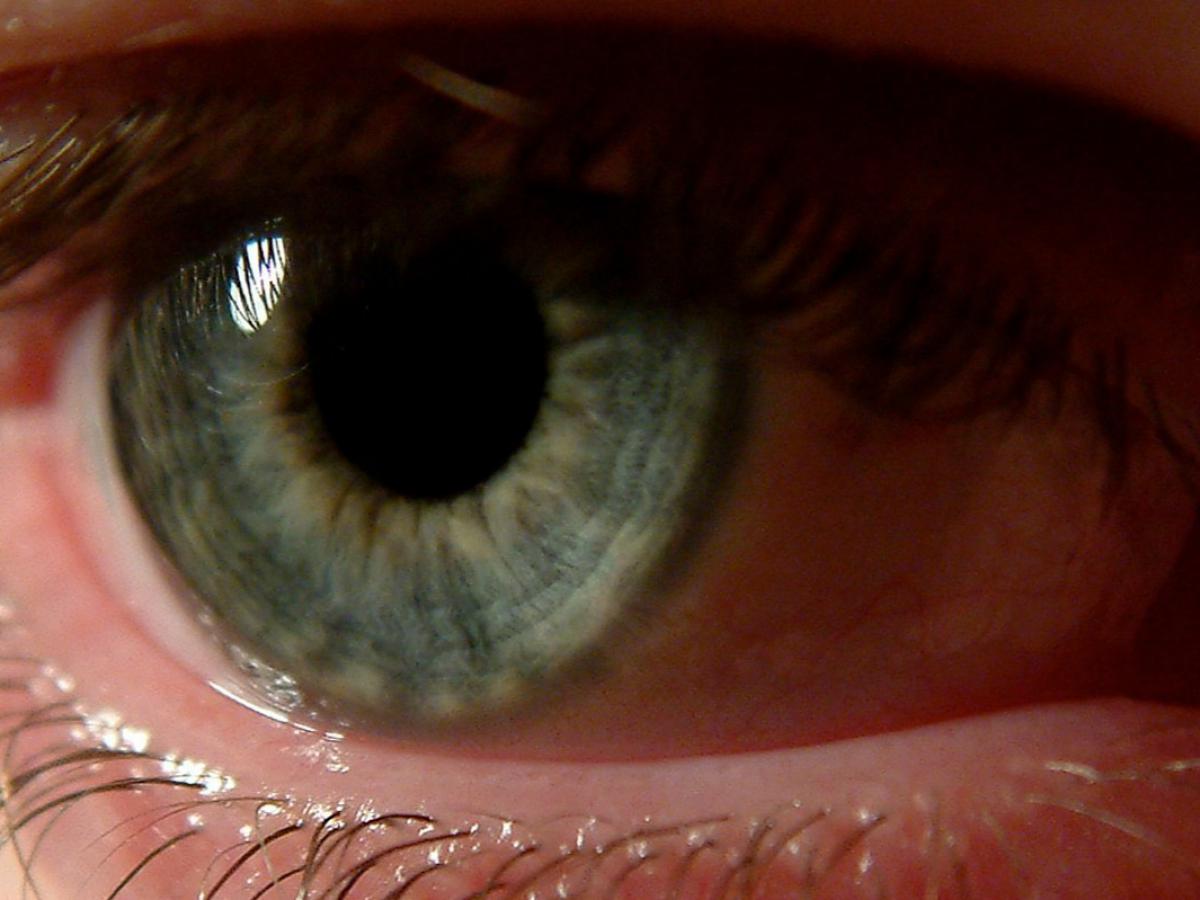 new algorithm for diagnosing and predicting eye diseases