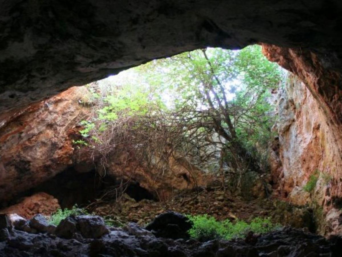 Scientists have discovered that our ancestors used the bones of the dead for domestic purposes.