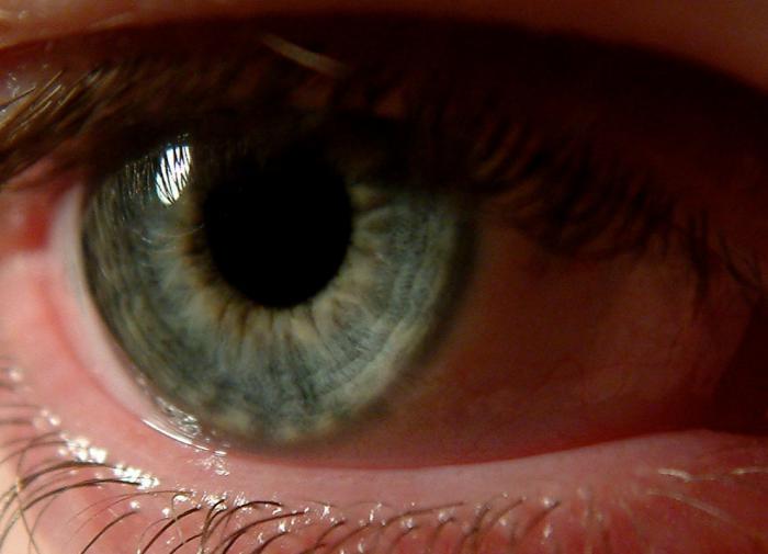 A neural network that diagnoses and predicts eye diseases has been created