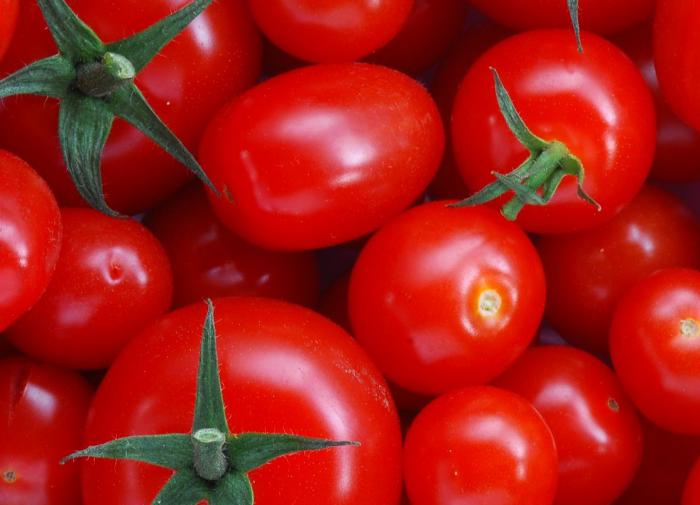 A dangerous tomato virus has been recorded for the first time in the Stavropol Territory